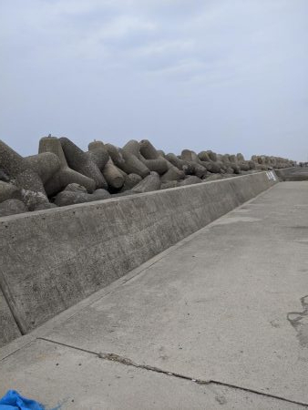 テトラ　穴釣り　