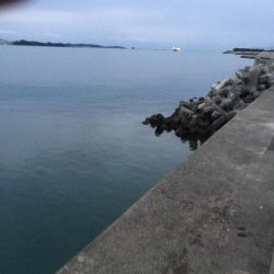 アジ5匹、ガシラ1匹