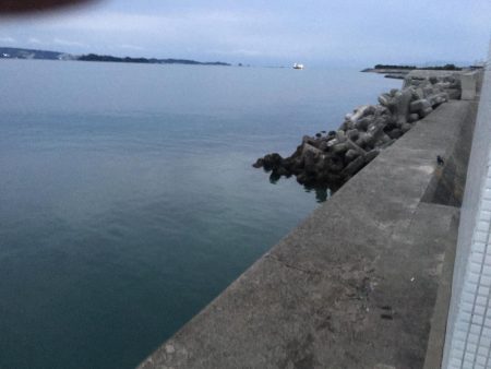 アジ5匹、ガシラ1匹