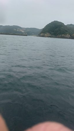 小型和船からのSLJ！鷹島南側日比水道リアル