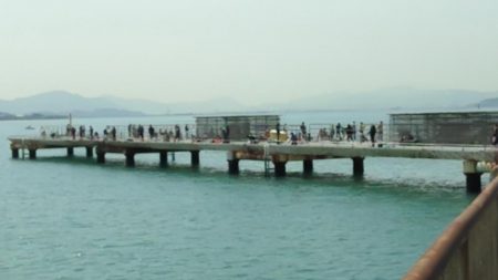 フィッシグパーク新形コロナウイルスによる閉園からの再開!!