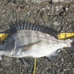 海釣り卒業記念