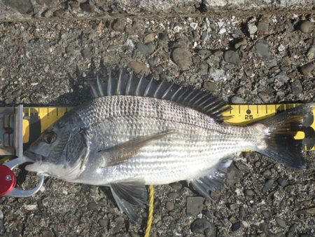 海釣り卒業記念