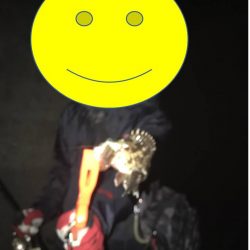 のんびりアジングと尺アジ情報