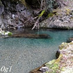 解禁3日後のアマゴ釣り