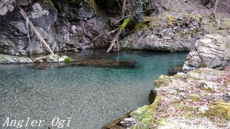 解禁3日後のアマゴ釣り