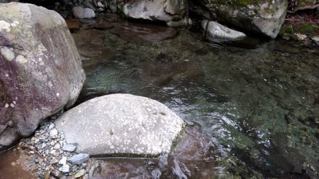 待ちに待った揖保川解禁日！