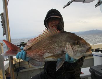 浜田釣舟　真鯛釣り