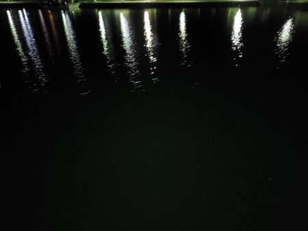 アジングとメバリング