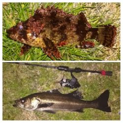 メバリング1840〜1935 2105〜2148