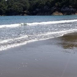 前回と同数でした！