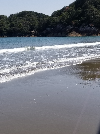 前回と同数でした！