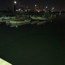 アジングのつもりで