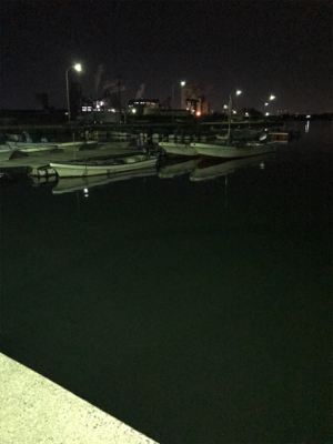 アジングのつもりで