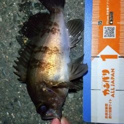 2020年3月5日釣行in箱崎ふ頭