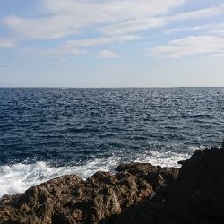 粘って粘ってなんとかゲット!