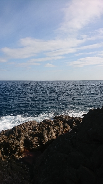 粘って粘ってなんとかゲット！