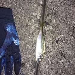 平日でも満員御礼