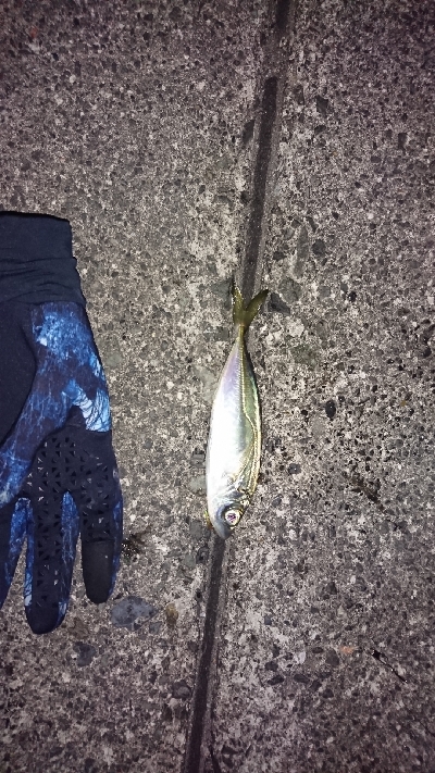 平日でも満員御礼