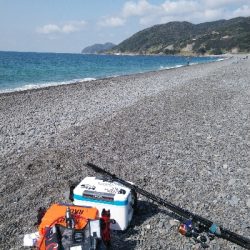 マイクロベイト対応できず。