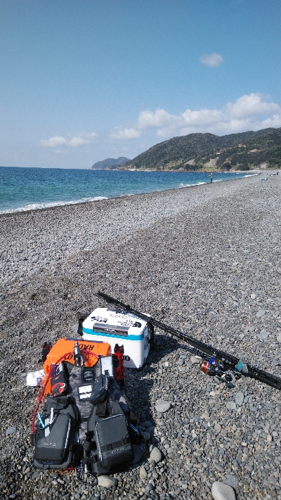 マイクロベイト対応できず。