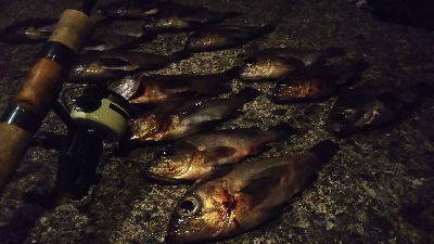 予想的中ヤッホー