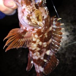 ナイトメバリング