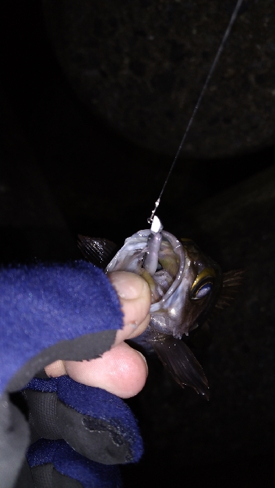 ナイトメバリング