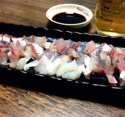 良形のアジが浮き釣りやアジングで釣れます