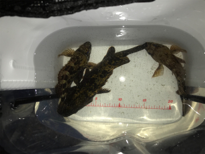 雨に降られて強制終了