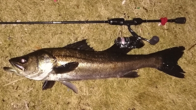 メバリング1840〜2018