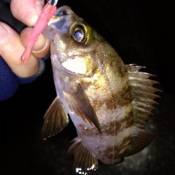 ナイトメバリング