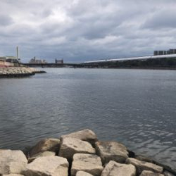 やっと釣れました!