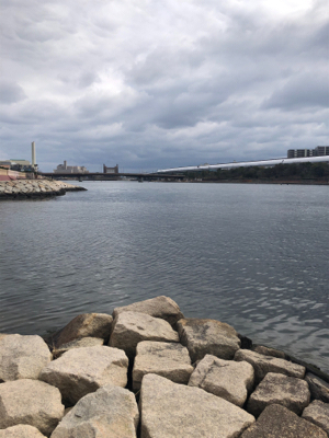 やっと釣れました!