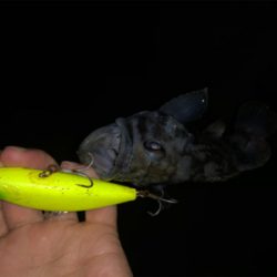 雨後ナイトゲーム