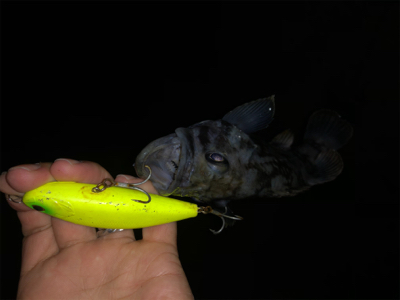 雨後ナイトゲーム