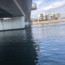 なんとか1匹❗️