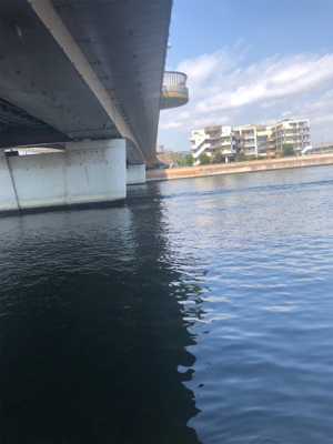 なんとか1匹❗️