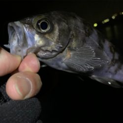 干潮だってなんのその!