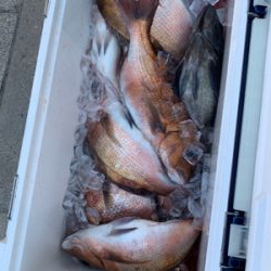 ポート田尻さんにて