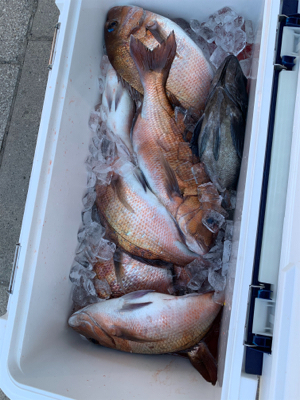 ポート田尻さんにて