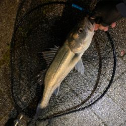 朝(夜中)1、夕方(夜)2