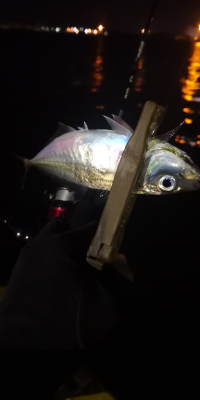 アジング 練習 125