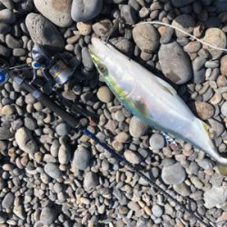 田辺　文里港〜煙樹ヶ浜