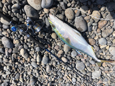 田辺　文里港〜煙樹ヶ浜