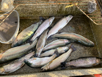 プールフィッシング