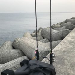 2020ライトゲーム第11戦