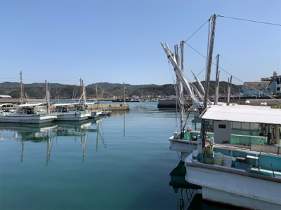 メバルプラッキング