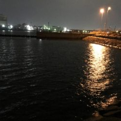 夕まずめにメバリング(^^)