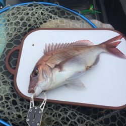 県南でカヤックフィッシング！